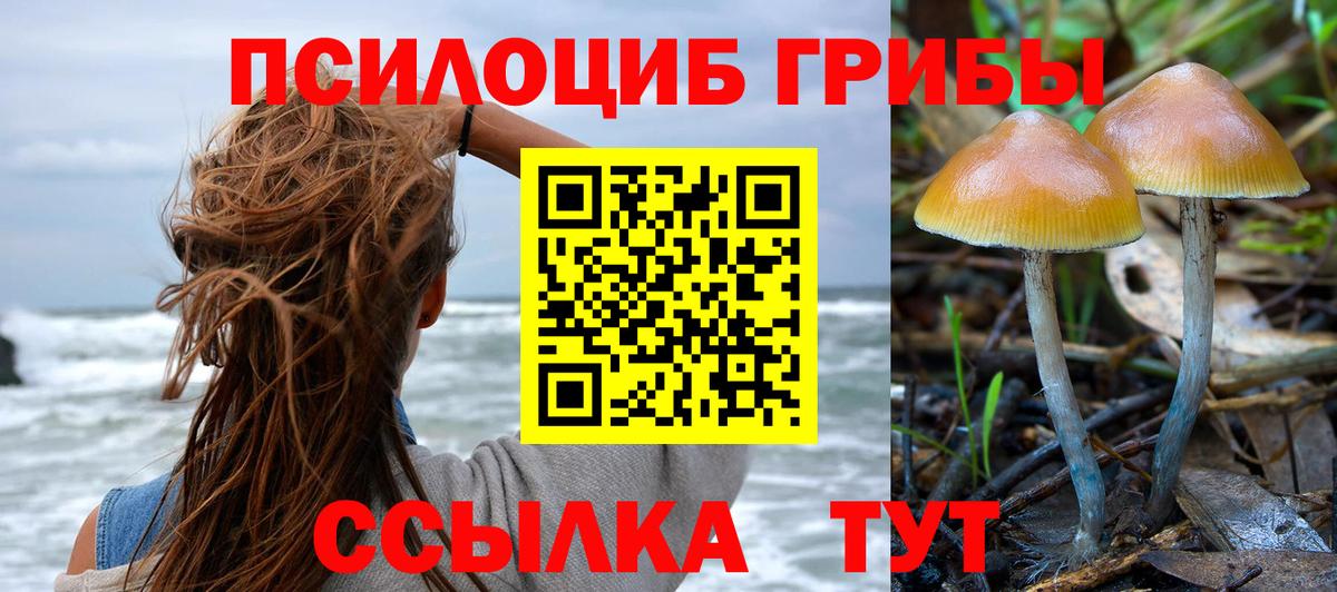 Галлюциногенные грибы Cubensis  Галлюциногенные грибы Cubensis  Вход с VPN  Кириши 
